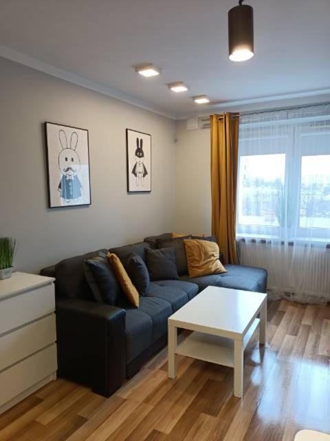 Family & Business Elegant Apartments Rynek Centrum Downtown - 2 Bedroom, Balcony, Parking เคียลเซ ภายนอก รูปภาพ